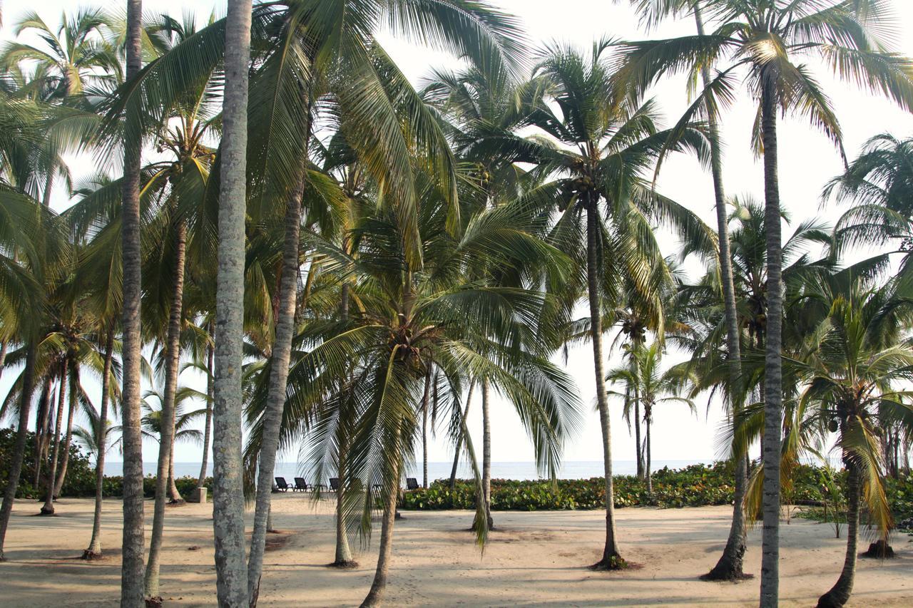 Tayrona Tented Lodge Гуачака Экстерьер фото
