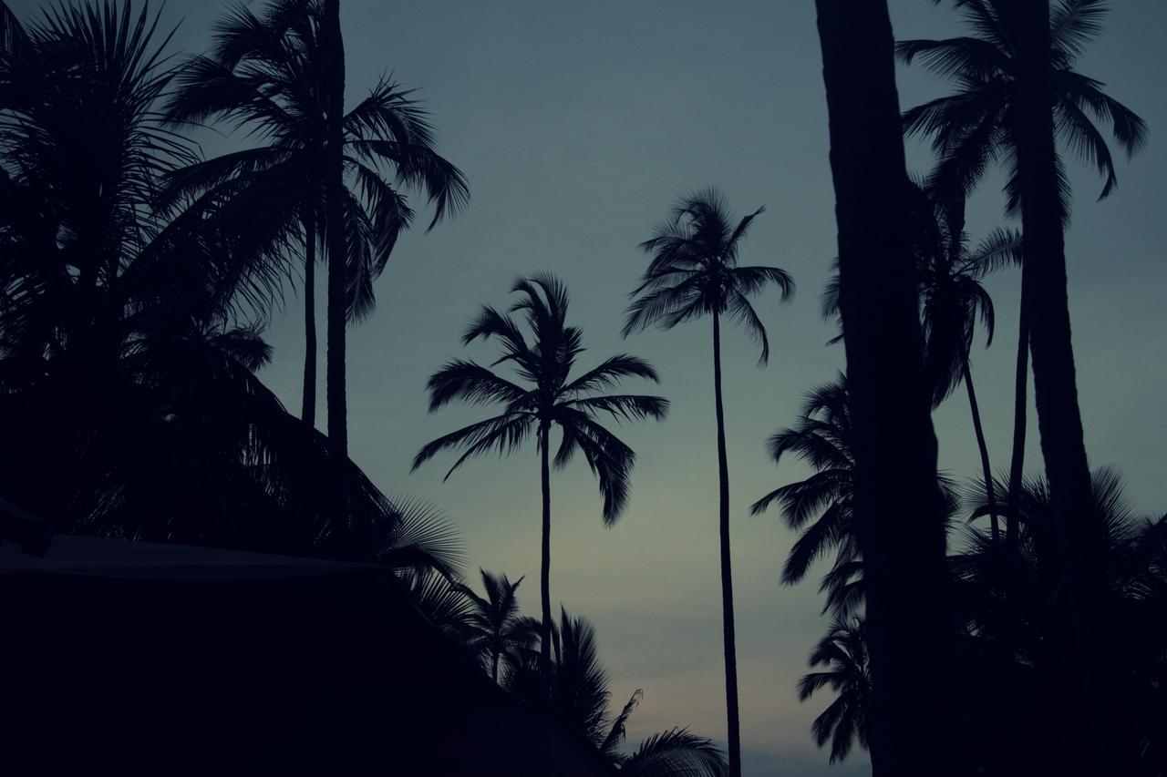 Tayrona Tented Lodge Гуачака Экстерьер фото